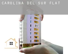 South Carolina flats