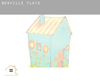 Boxville  flats