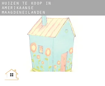 Huizen te koop in  Amerikaanse Maagdeneilanden