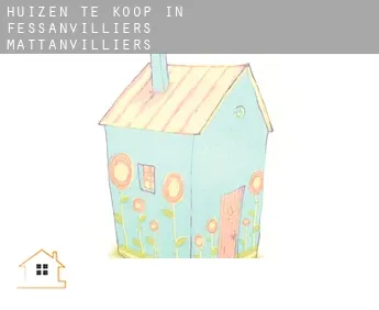 Huizen te koop in  Fessanvilliers-Mattanvilliers