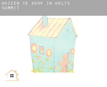 Huizen te koop in  Holts Summit