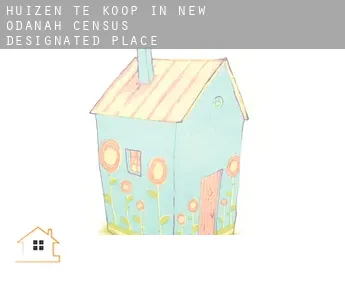 Huizen te koop in  New Odanah