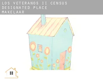 Los Veteranos II  makelaar