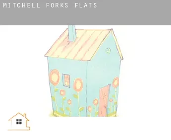 Mitchell Forks  flats