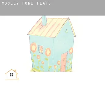 Mosley Pond  flats