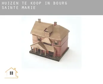 Huizen te koop in  Bourg-Sainte-Marie