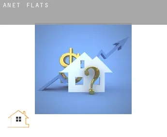 Anet  flats