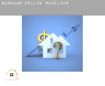 Burnham Hollow  makelaar