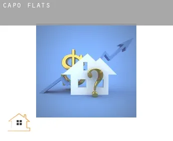 Capo  flats