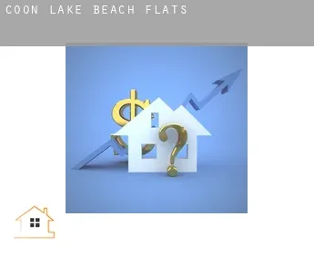 Coon Lake Beach  flats