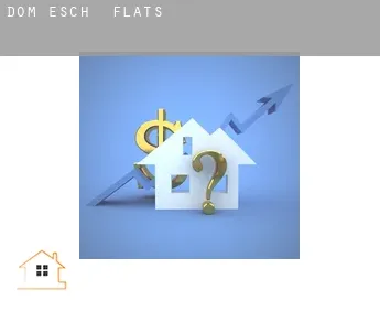 Dom-Esch  flats