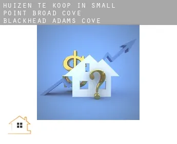 Huizen te koop in  Small Point-Broad Cove-Blackhead-Adams Cove