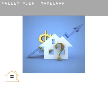 Valley View  makelaar