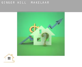 Ginger Hill  makelaar