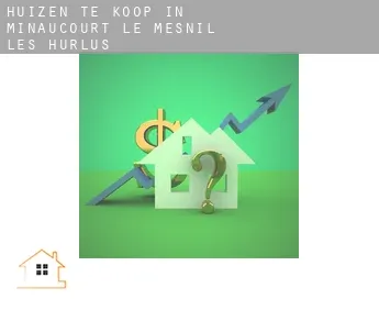 Huizen te koop in  Minaucourt-le-Mesnil-lès-Hurlus