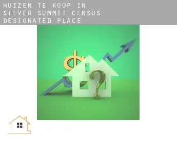 Huizen te koop in  Silver Summit