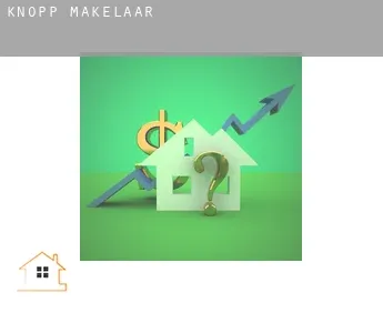 Knopp  makelaar