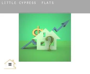 Little Cypress  flats