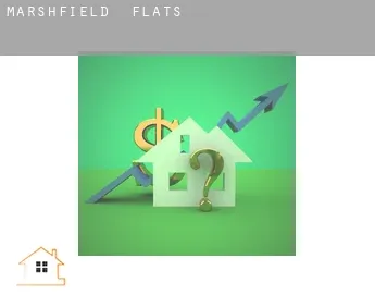Marshfield  flats