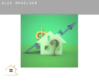 Olex  makelaar