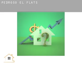 Pedroso (El)  flats