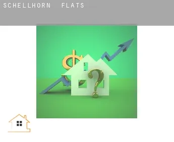 Schellhorn  flats
