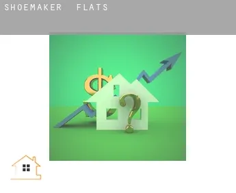 Shoemaker  flats