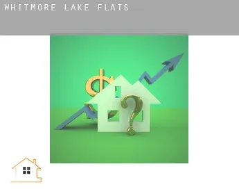 Whitmore Lake  flats