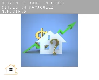 Huizen te koop in  Other cities in Mayagueez Municipio
