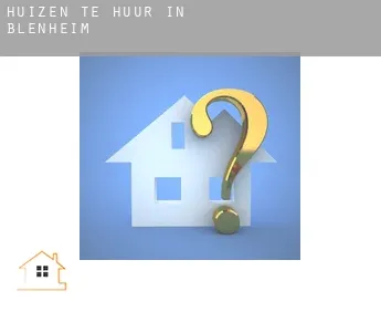 Huizen te huur in  Blenheim