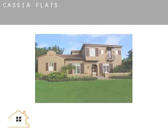 Cassia  flats