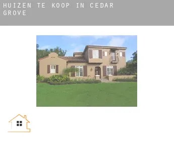 Huizen te koop in Cedar Grove