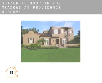 Huizen te koop in  The Meadows at Providence Reserve