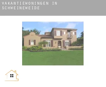 Vakantiewoningen in  Schweineweide