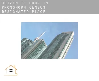 Huizen te huur in  Pronghorn