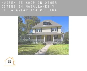 Huizen te koop in  Other cities in Magallanes y de la Antartica Chilena