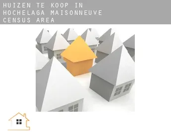 Huizen te koop in  Hochelaga-Maisonneuve (census area)