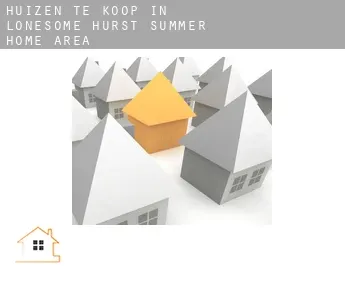 Huizen te koop in Lonesome Hurst Summer Home Area