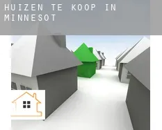 Huizen te koop in Minnesota