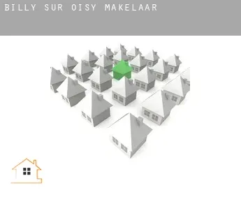 Billy-sur-Oisy  makelaar