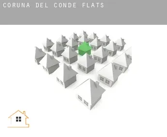 Coruña del Conde  flats