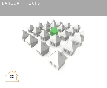 Dahlia  flats