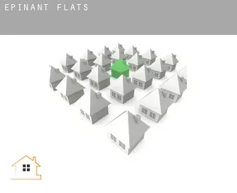 Épinant flats