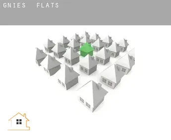 Gnies  flats