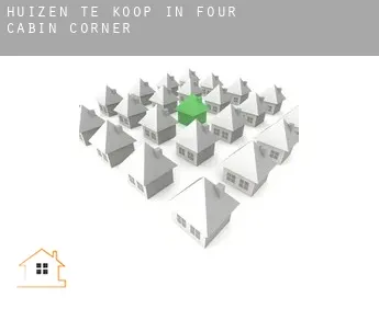 Huizen te koop in  Four Cabin Corner