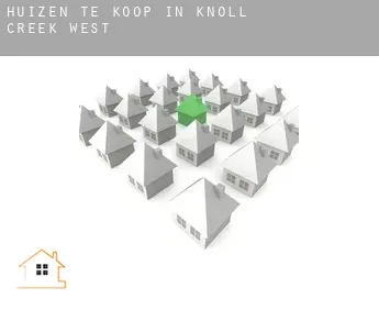 Huizen te koop in  Knoll Creek West