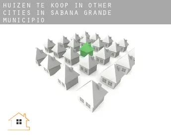 Huizen te koop in  Other cities in Sabana Grande Municipio