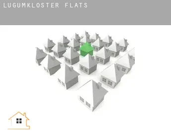 Løgumkloster  flats