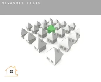 Navasota  flats