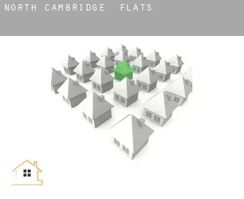 North Cambridge  flats